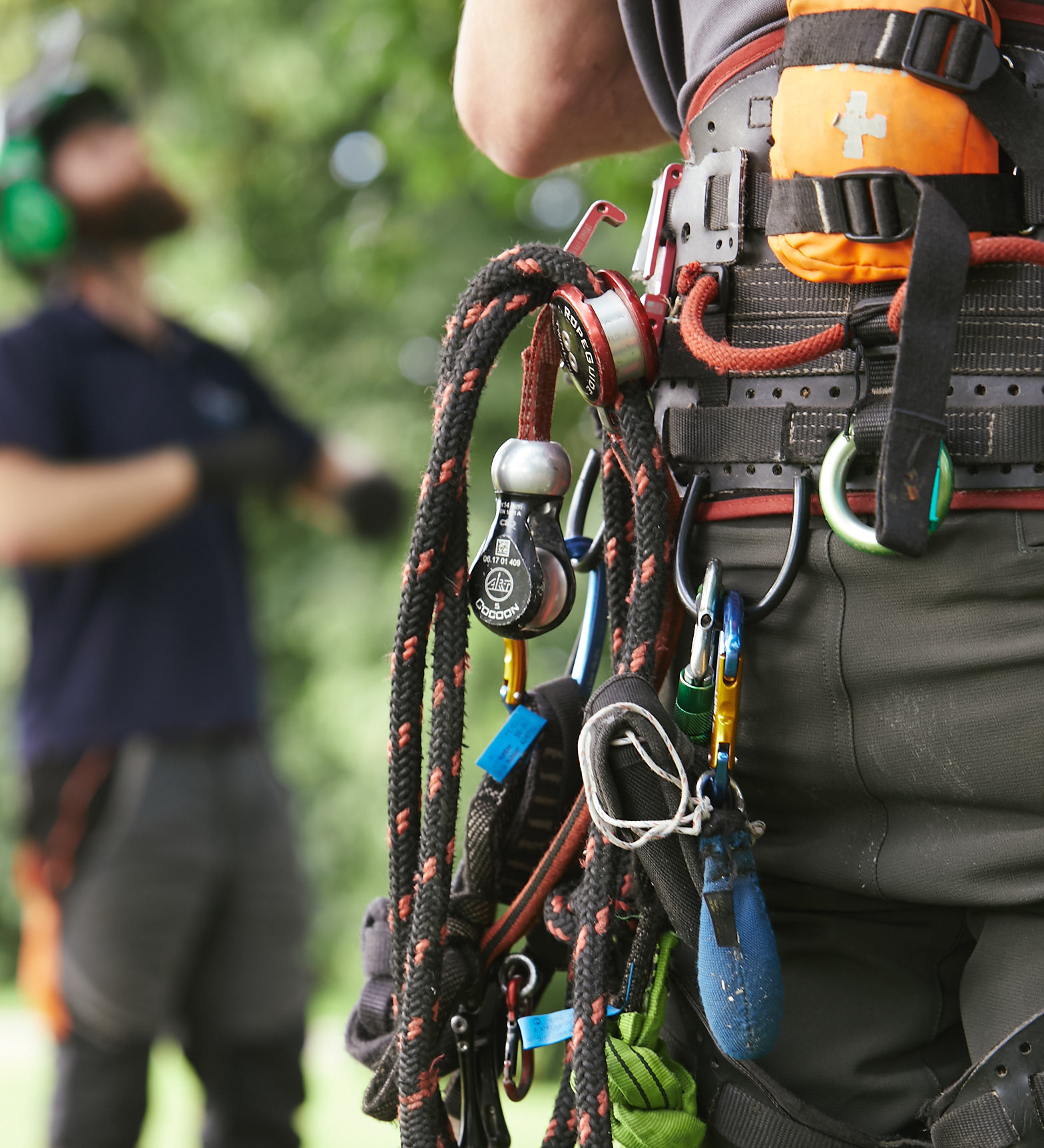 Buckland Arboriculture Nantwich Cheshire