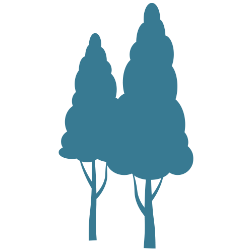 Tree Care and Contracting Cheshire