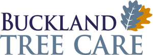 Buckland Tree Care logo